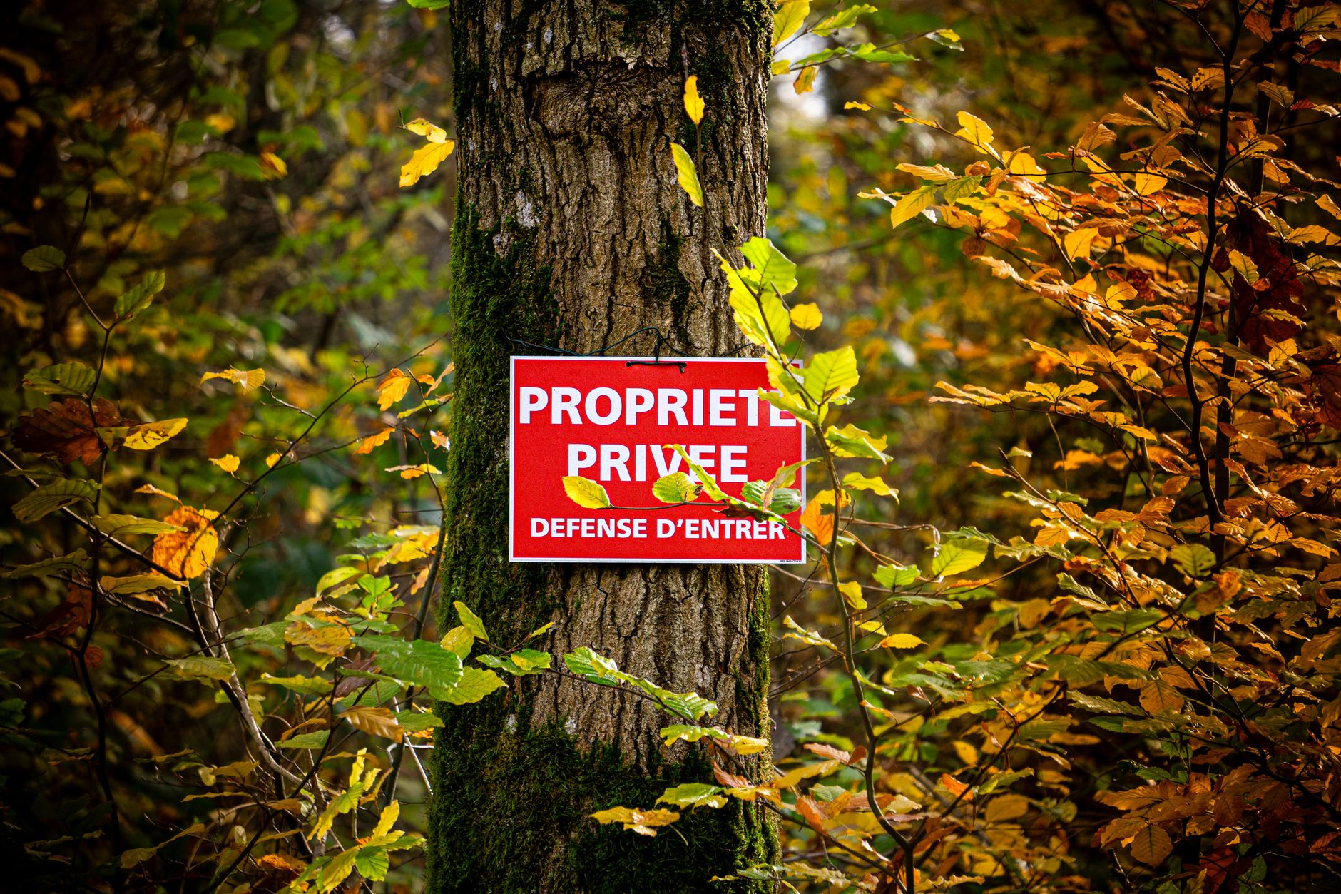 Détective privé à Sevran